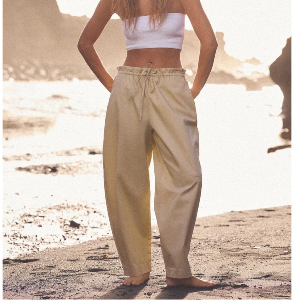 Zara pants